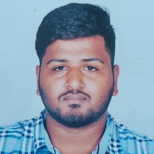 Naveen D-Freelancer in Hosur,India