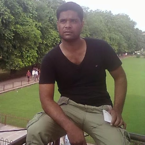 Syed Ali-Freelancer in Bhopal Area, India,India