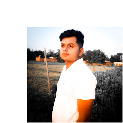 Mayank dwivedi-Freelancer in Bahraich District,India