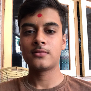 Patel Nikhil-Freelancer in bharuch,India