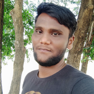 Preethiviraj-Freelancer in DHARAMAPURI,India