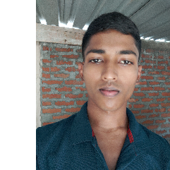 Dipak Sarkar-Freelancer in Bijni,India