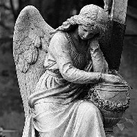 Duaa Asghar Khan-Freelancer in Multan,Pakistan