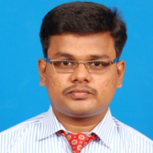 Mallisaravanan Devarajan-Freelancer in Chennai,India