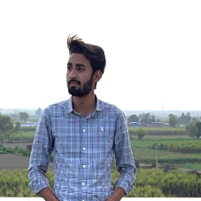 Abhi Gurjar-Freelancer in Ghziabad,India