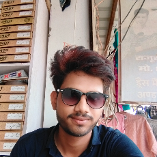 Vishnu Kumar-Freelancer in Nagur,India
