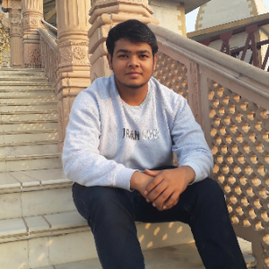 Aryan Verma-Freelancer in Delhi,India