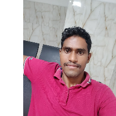 Mahesh Reddy Purini-Freelancer in Vijayawada,India
