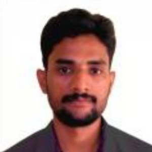 Narayanan Velu-Freelancer in Chennai,India