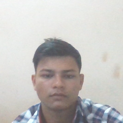Nitesh Kumar-Freelancer in bulandshahr,India