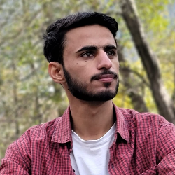 Umair Javed-Freelancer in Islamabad,Pakistan