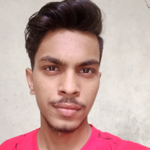 Rajat Sahani-Freelancer in Barhalganj,India