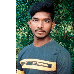 Rajkumar Praveen-Freelancer in Tamilnadu,theni,India