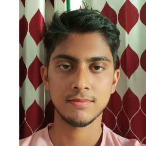 Sonu Mandal-Freelancer in Bhuj,India