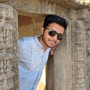 Harshil Mehta-Freelancer in Anand,India
