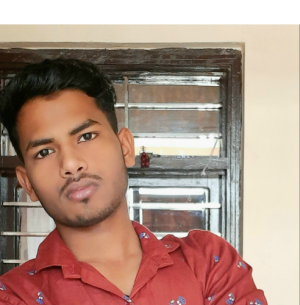 Avinash-Freelancer in faridabad,India