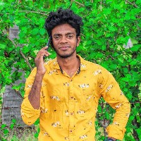 Seenu Prathap-Freelancer in Bodinayakanur,India