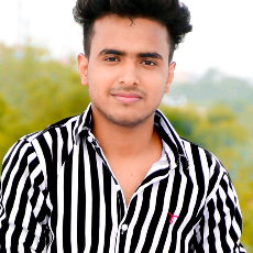 Royal Boy-Freelancer in Ajmer,India