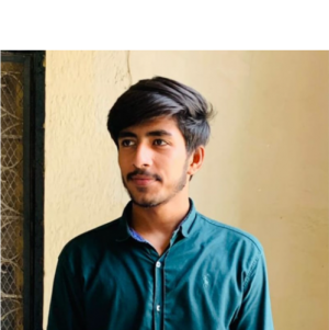 Muhammad Saif-Freelancer in Karachi,Pakistan
