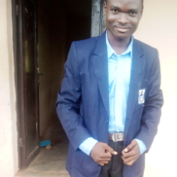 Raji Oluwafemi-Freelancer in Ogun State,Nigeria