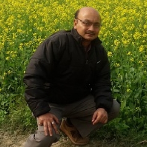 Subhashis Chowdhury-Freelancer in Kolkata,India