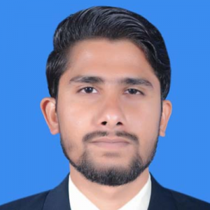 Malik Wiki-Freelancer in Multan,Pakistan