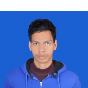 Rohit Kumar-Freelancer in Nawada,India