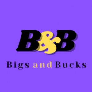 Big&Bucks-Freelancer in ANYWHERE,Pakistan