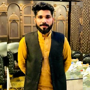 Malik Expert-Freelancer in vehari,Pakistan