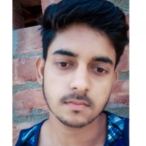 Avijit sahani-Freelancer in kolkata,India