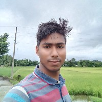 Abdullah Al Mamun-Freelancer in Sunamganj District,Bangladesh