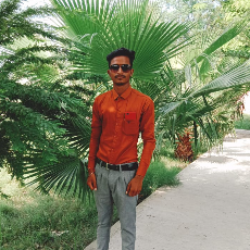 Kulwinder Singh-Freelancer in Ferozepur,India