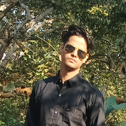 Md Nasir Alam-Freelancer in Rewa,India
