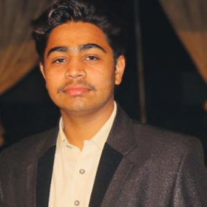 Malik Hussnain Awan-Freelancer in Pattoki, Punjab, Pakistan,Pakistan