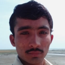 Zain6 Ali-Freelancer in dera ghazi khan,Pakistan