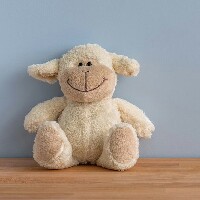 Joselin Jersiya J-Freelancer in Neiyyur,India