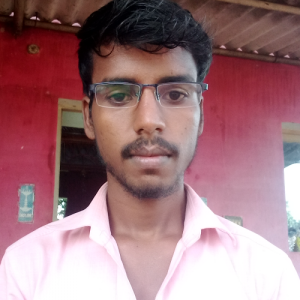 Satheesh-Freelancer in singapure,India