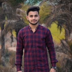 Prashant Kumar-Freelancer in ALIGARH,India