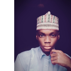 Ibrahim Adamu-Freelancer in Bida,Nigeria