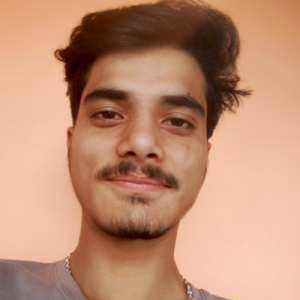 Akhil Kumar-Freelancer in Shimla,India