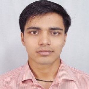 Vikas Sharan-Freelancer in Delhi,India