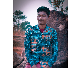Vinay Sidar-Freelancer in Raigarh,India