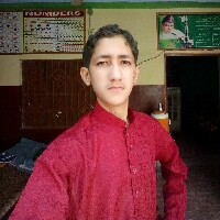 Muhammad Ali Faisal-Freelancer in Rahim Yar Khan,Pakistan