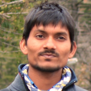 Nikhil Sahu-Freelancer in ,India