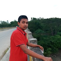 Fardin Neloy-Freelancer in trishal,Bangladesh