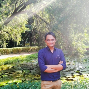 Nilesh Bhimani-Freelancer in ahmedabad,India