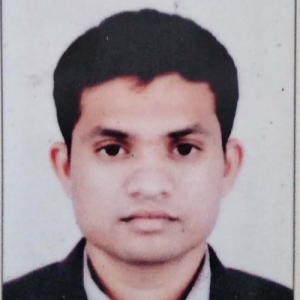 Pravin Raipure-Freelancer in Nagpur,India