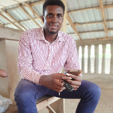 David Onwe-Freelancer in Ibadan,Nigeria