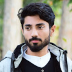 Muhammad Hafeez-Freelancer in Islamabad,Pakistan