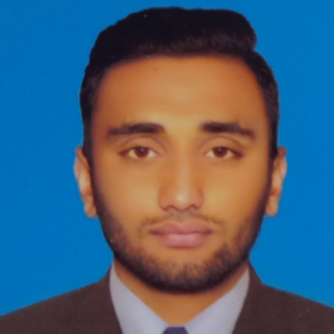 Muhammad Bilal Bismillah-Freelancer in Kamalia,Pakistan